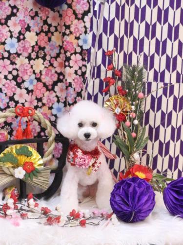 20250122ゆわちゃん